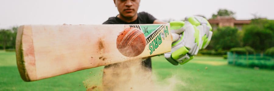 Cricket Bat and Ball: The Essentials